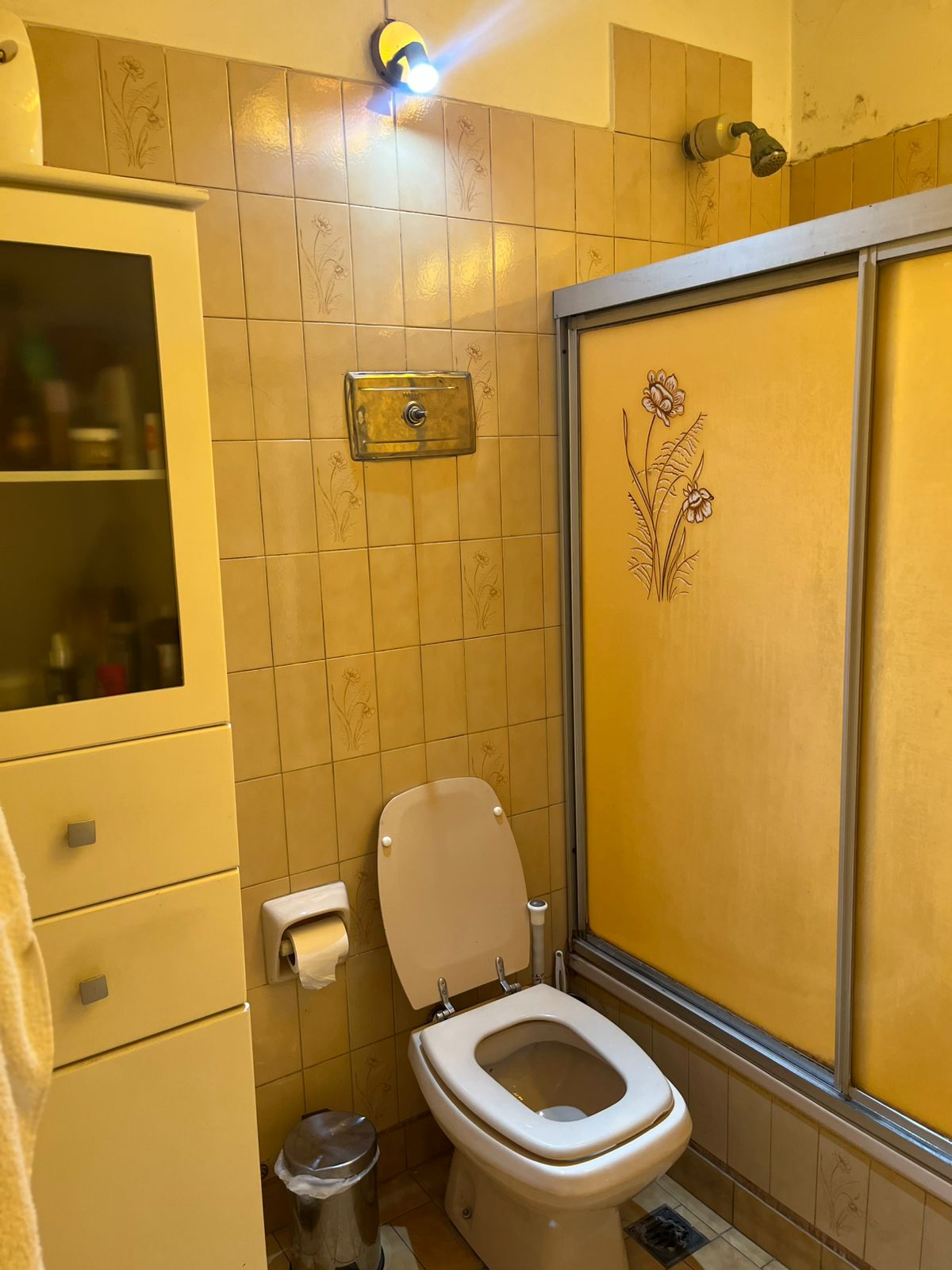 Imagen 13