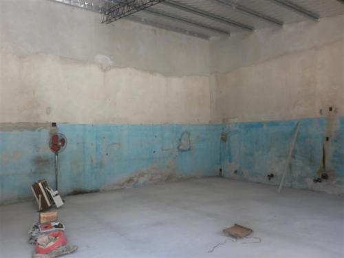 Imagen 3